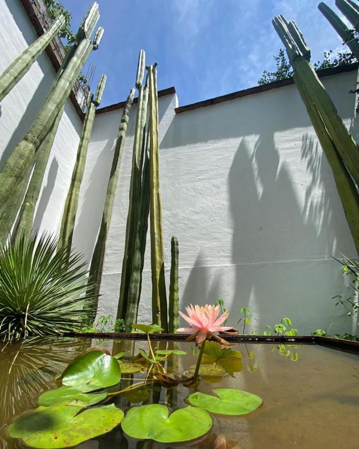 Casa Mayo B&B Oaxaca Eksteriør billede